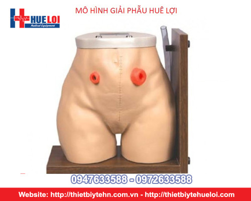 Mô hình thực hành chăm sóc Hậu môn nhân tạo