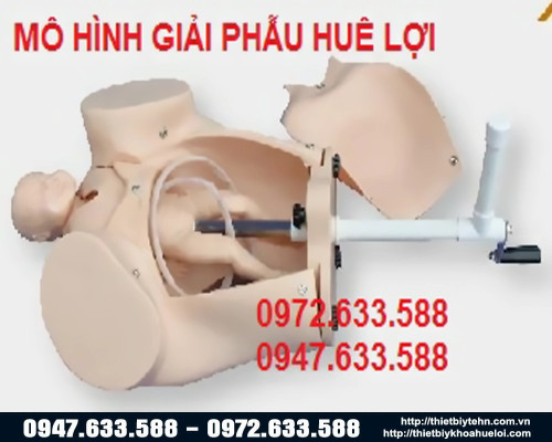 Mô hình thực tập đỡ đẻ đơn giản