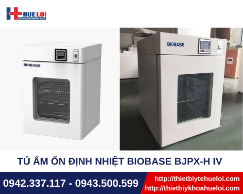 Tủ ấm ổn định nhiệt Biobase