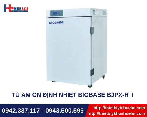 Tủ ấm ổn định nhiệt Biobase