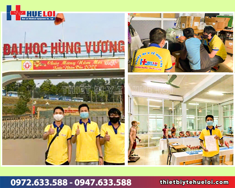 huê lợi bàn giao combo mô hình giải phẫu cho đại học hùng vương
