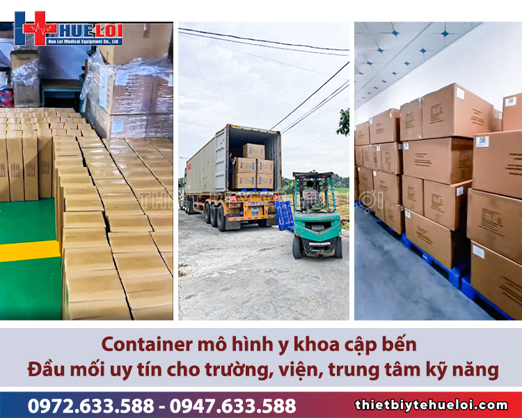 mô hình về theo container số lượng lớn, giá tốt