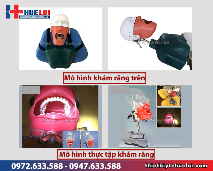 mô hình thực tập khám răng