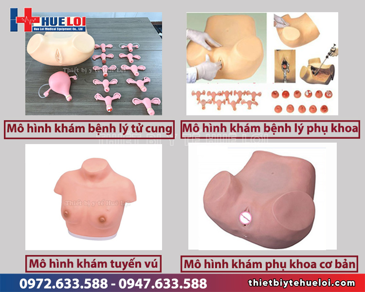mô hình khám sản phụ khoa