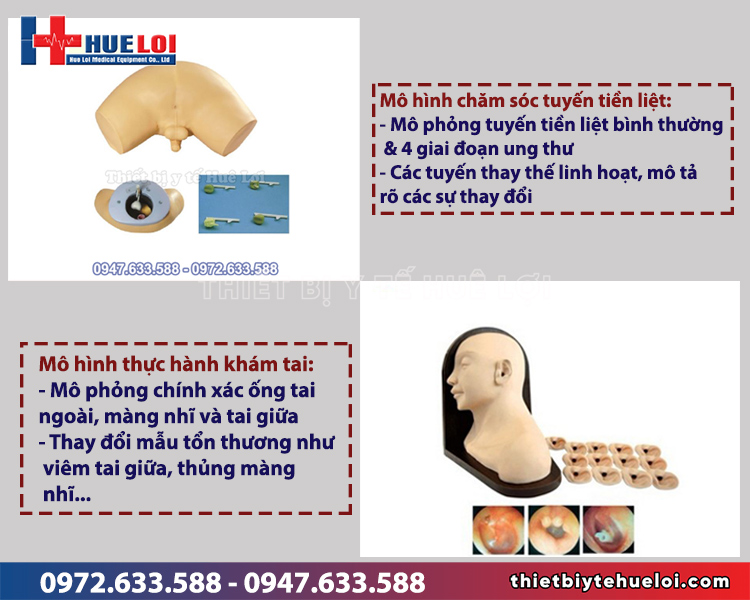 mô hình thực tập chẩn đoán bệnh lý y khoa