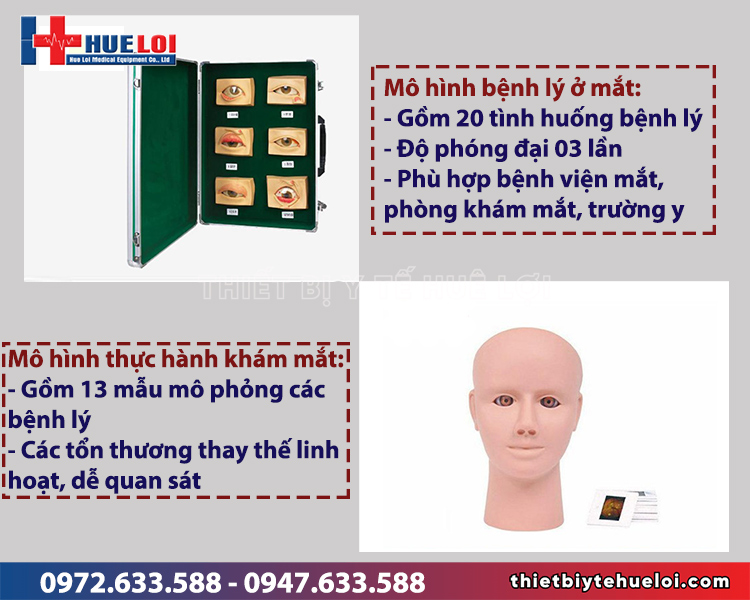 mô hình thực hành khám bệnh lý mắt
