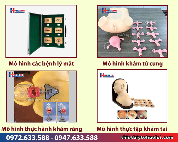 mô hình thực hành chẩn đoán bệnh lý