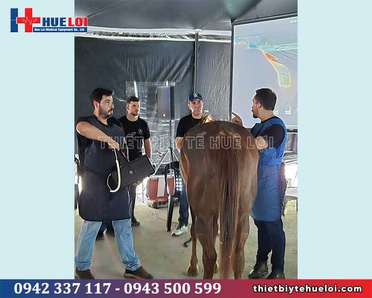 máy x-quang cho động vật tần số siêu cao