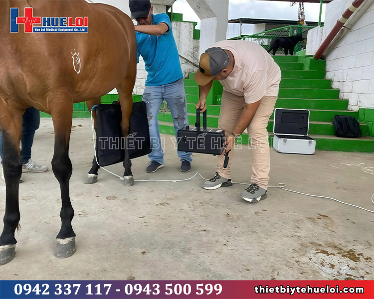 máy x-quang cho động vật xách tay loại tần số cao