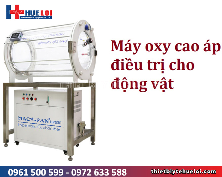 máy điều trị oxy cao áp cho động vật