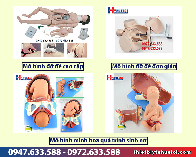 mô hình đào tạo sản khoa