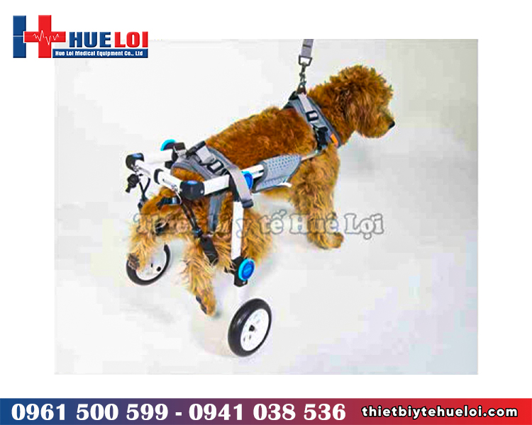 xe lăn hai bánh cho chó