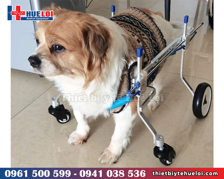 xe lăn 4 bánh cho vật nuôi